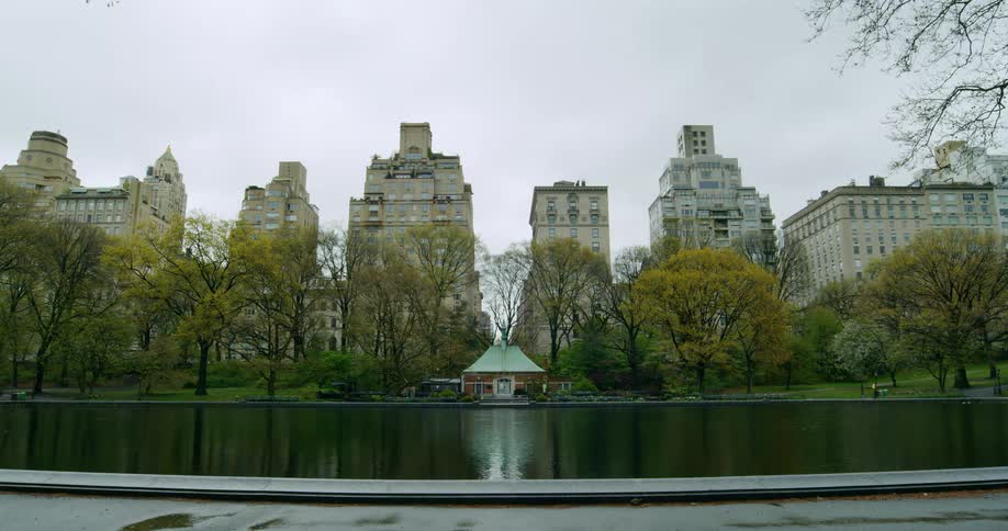 Office buildings behind a public park with a pond
