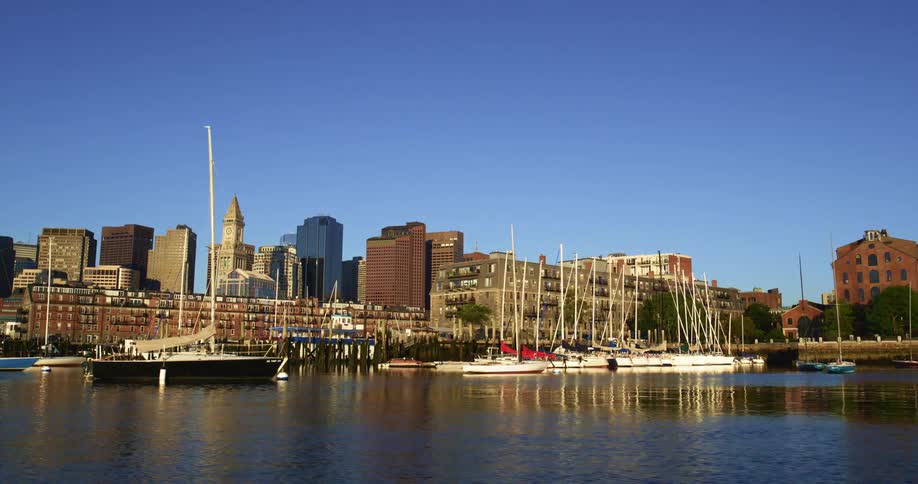 Boats parked at a dock with the city skyline in the background