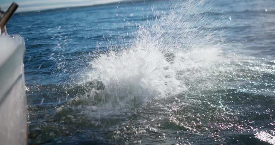 Diver wearing wet suit dives off boat into ocean