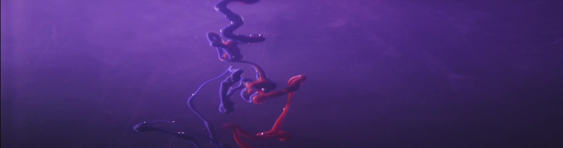 Pink and purple strings of paint sink into purple liquid
