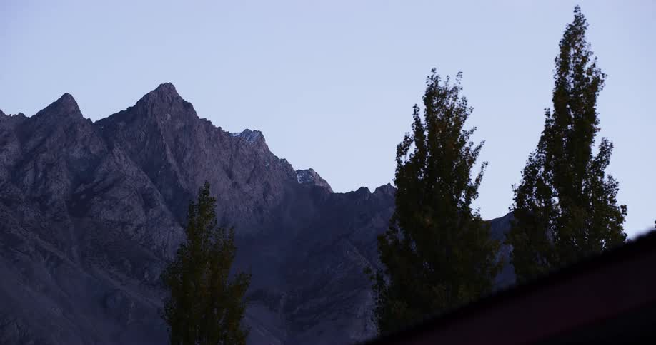 Rugged mountain peaks above three pine trees