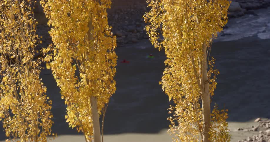Trees with people in kayaks on a river and rocks in the background