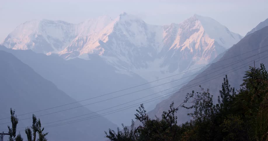 Trees and a powerline in front of a mountain range