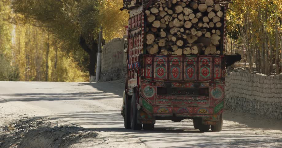 A truck hauling lumber drives past a goat on the road