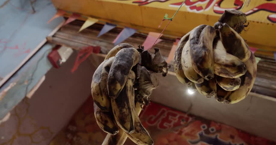 Over ripe banana bunches hanging on the entrance of a third world country street shop