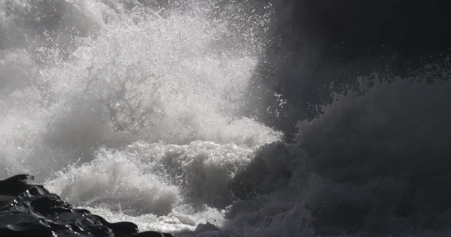 Whitewater churns past stone shore and into shadows