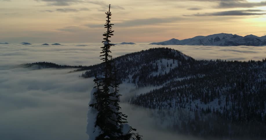 Mountain peaks covered in forest peak through a sea of clouds