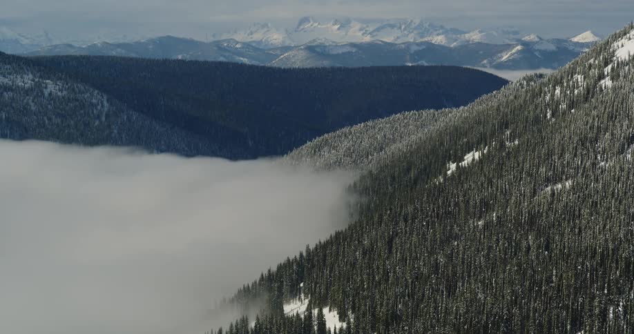 Thick fog obscures the valley between two mountain ridges covered in forest and snow