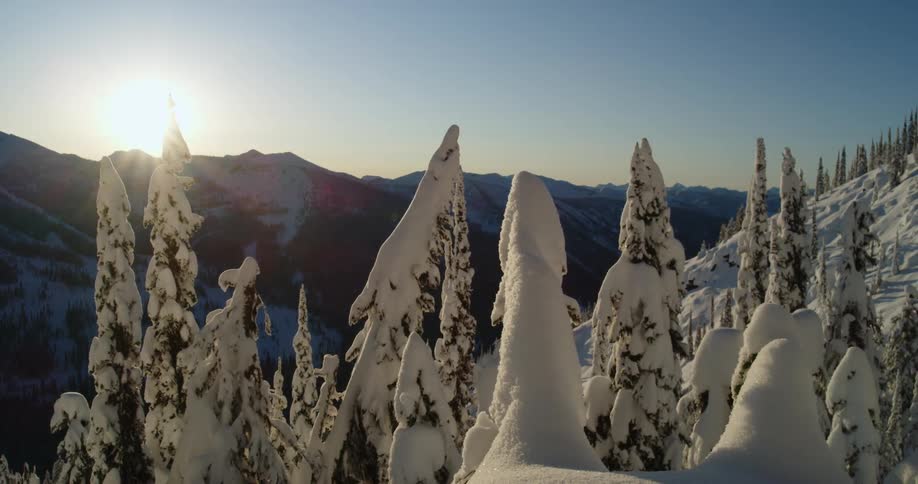 Snow covered trees with a mountain range the sky and sun in the background