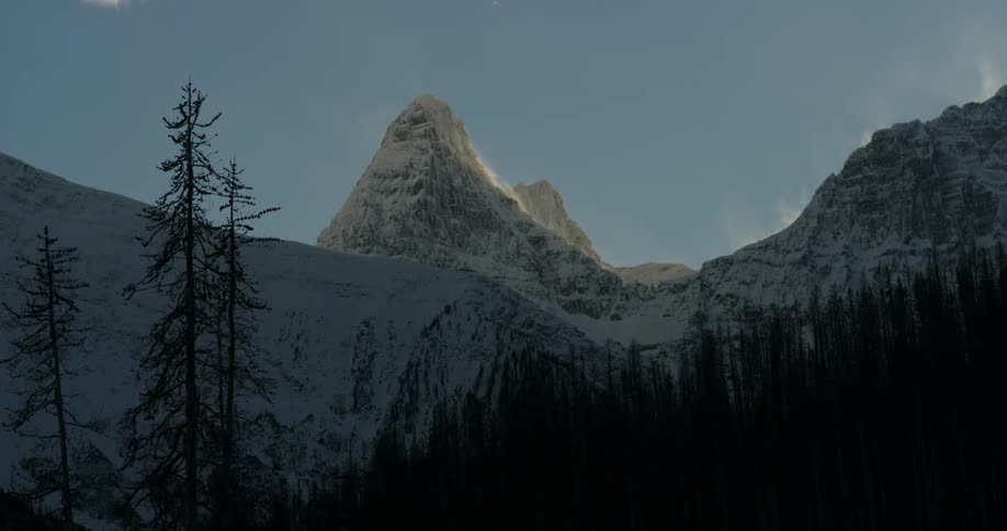 A forest in front of a snow covered mountain range