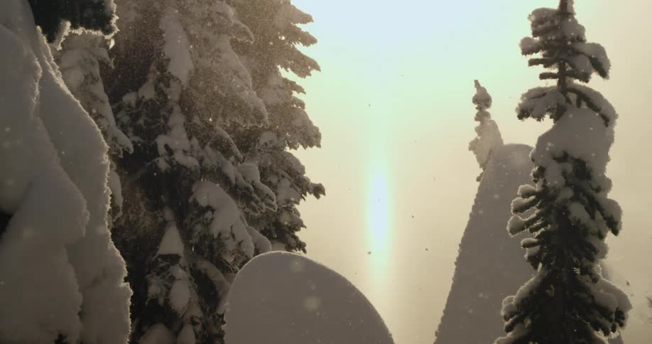 A skier flying through the air past snow covered trees
