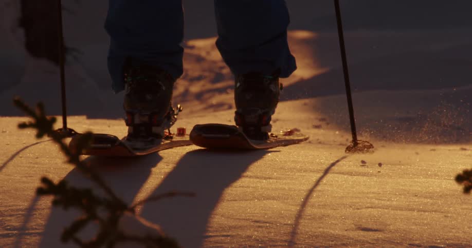 Person cross country skiing in snow at sunset