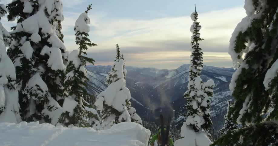 A man in snow gear is skiing off a slope doing a flip in midair between snowy conifer trees