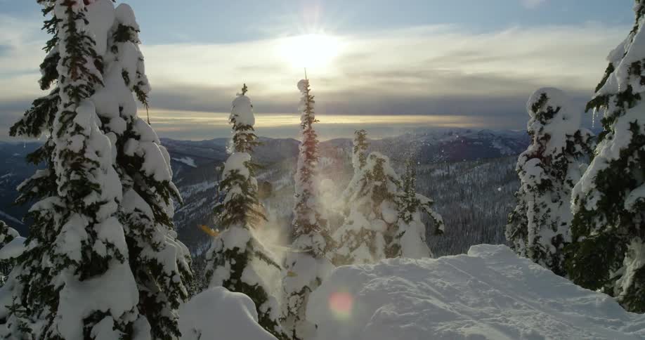 Person skis over ski jump in snowy pine forest in mountains
