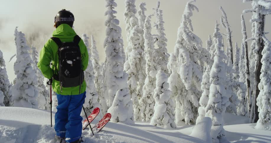 A person with a backpack jacket and a helmet with skis and a pole