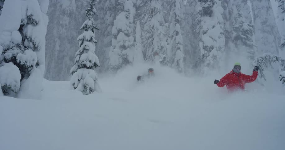 A skier and snowboarder speeding through snowy mountain forest