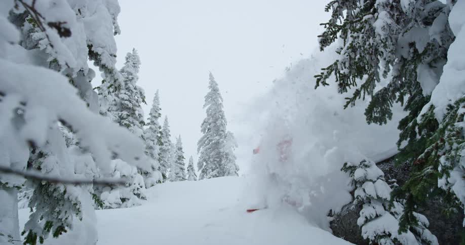 Man snowboarding through the pine trees down the snow covered slope of a a mountain