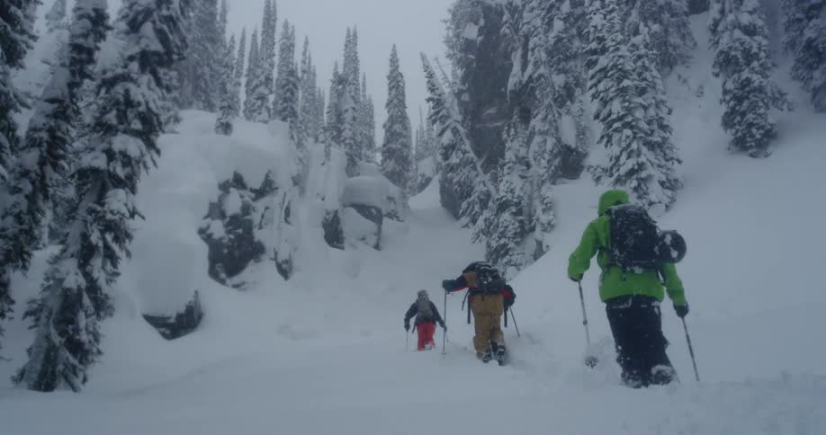 Three people on skis hiking through snow covered forest