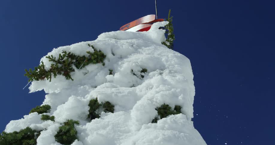 A man jumps as he skis past snow covered trees
