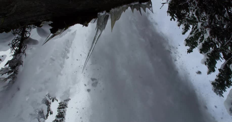Snow falling over a forest cliff on a winter day