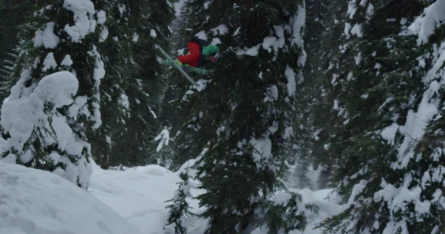 A person jumps as they ski past trees in a forest