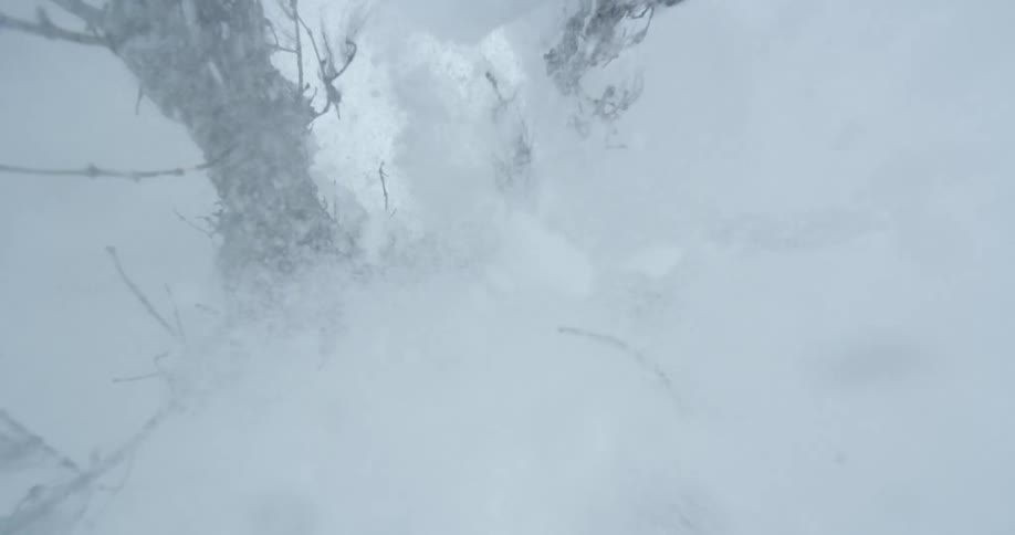 A skier falling through the air knocks snow off a tree as they fall towards the ground
