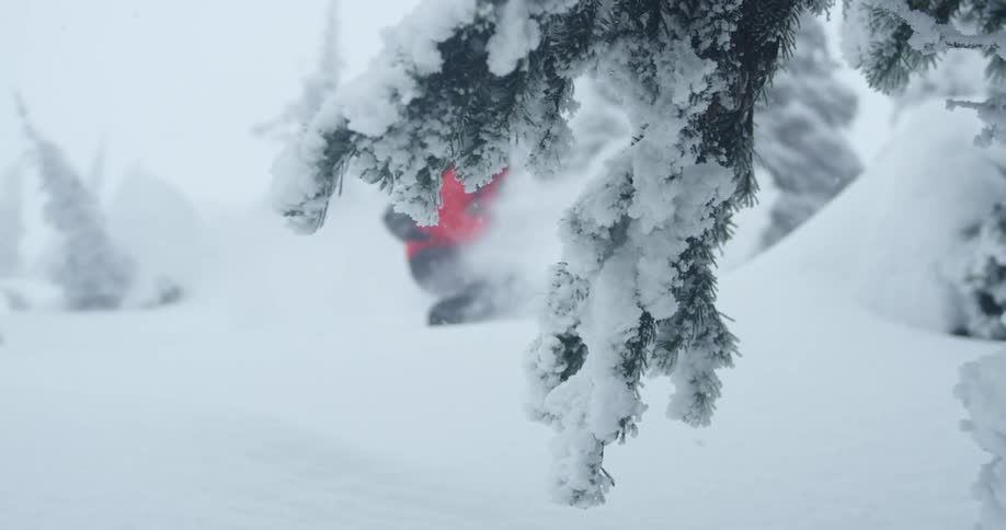 Snow flies up in to the air as a man snowboards down a hill
