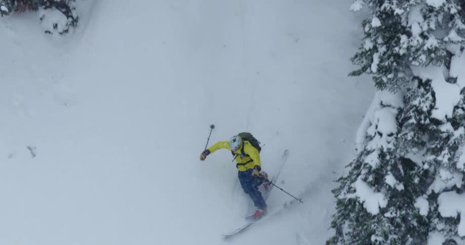 A skier skies between rows of evergreen trees on a mountain slope on a snowy day