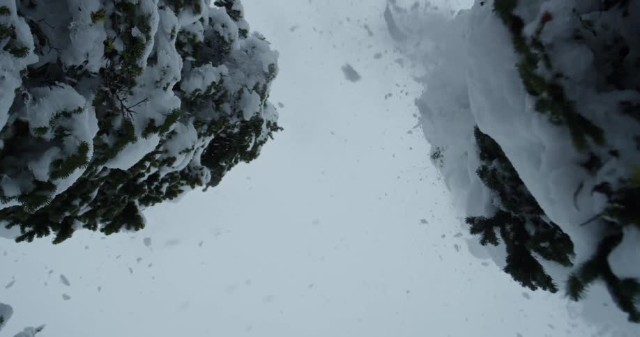A skier flies through the air between a pair of evergreen trees