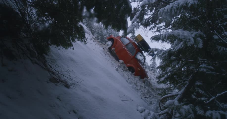 A small orange car with a luggage rack has crashed into the forest