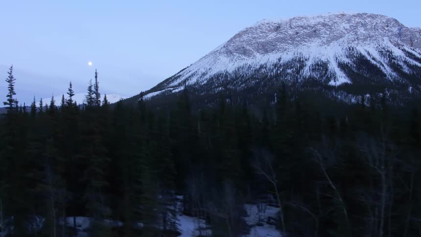 Aerial through trees and tundra below the mountains