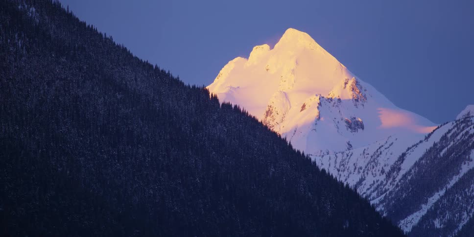 Trees and snow are covering the mountains