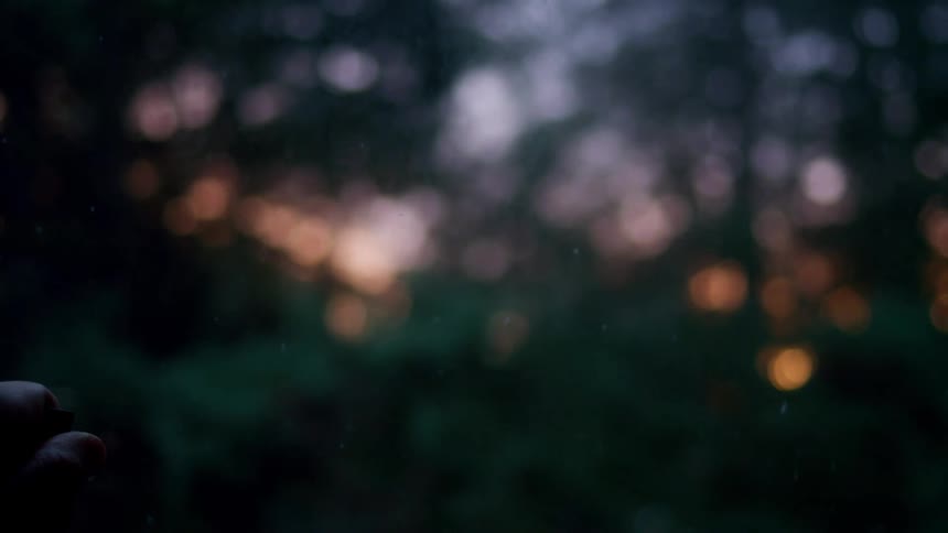A hand closes and locks a window while the setting sun glows through the trees