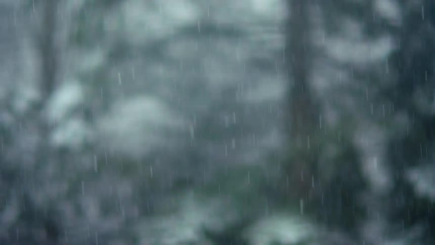 Small flurries of snow continuously fall to the ground within a forest grove