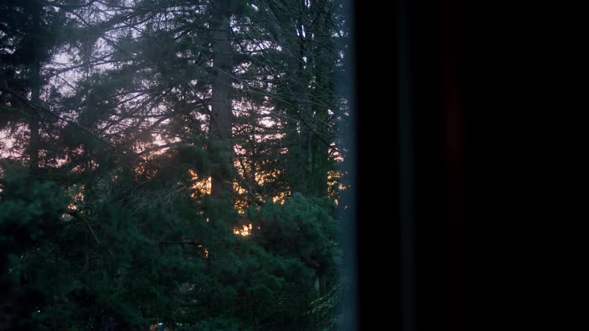 The sun is setting in a forest area