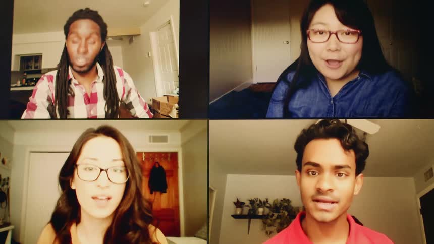 Two men and two women talking on a video call