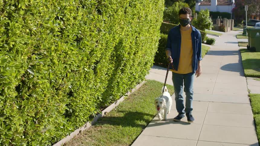Man with a black mask a yellow t shirt and jeans walks a white dog on the sidewalk in the neighbourhood