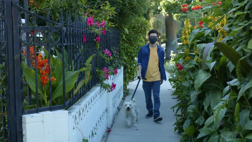 A young man in a medical mask walks a small dog through a narrow path lined with tall flowers in a neighborhood