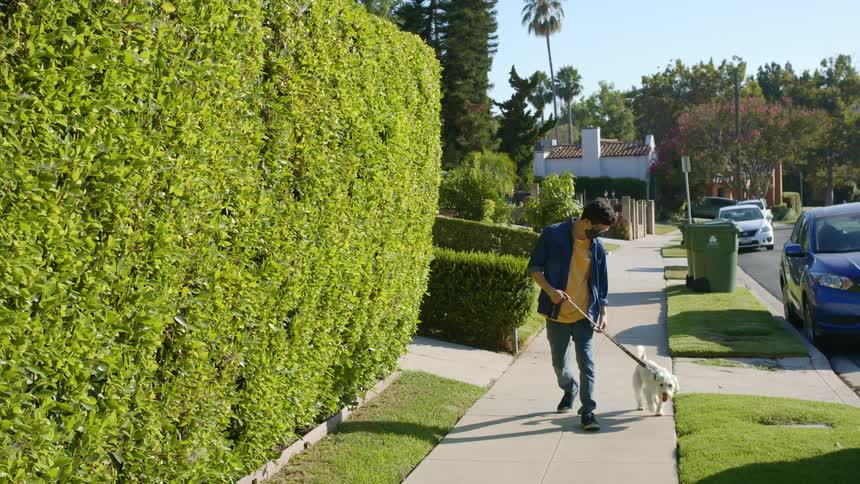 A man walks his dog on the sidewalk
