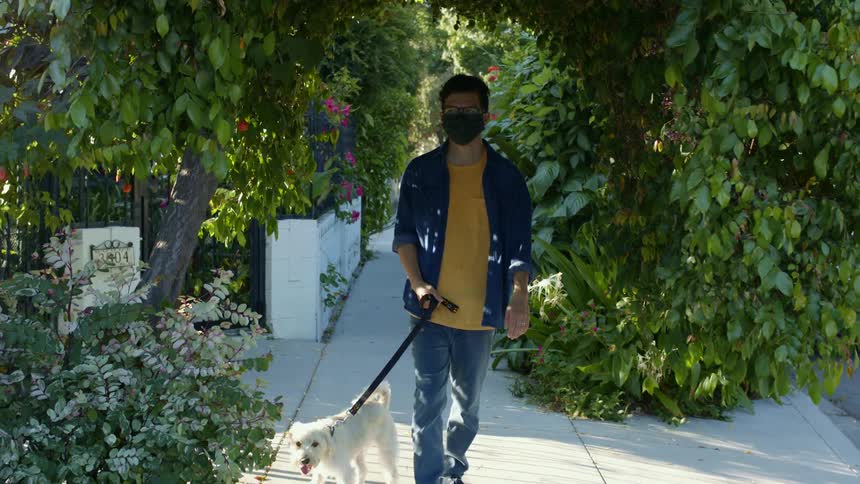 A man walks his dog on a neighborhood sidewalk