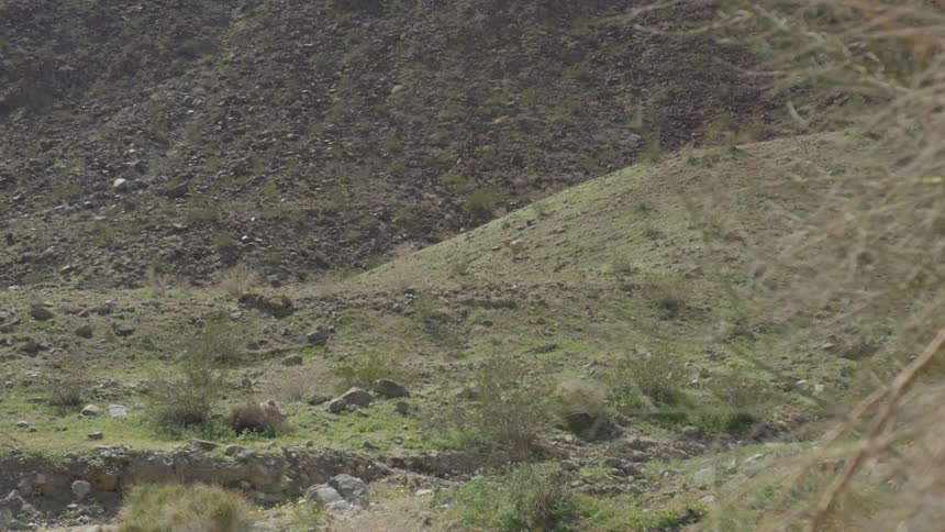 A hilly rock strewn countryside during the day