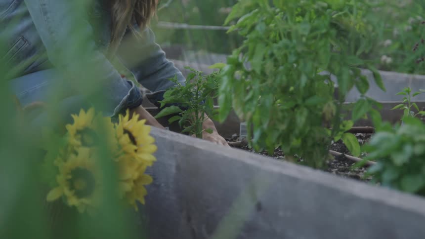 A woman is working in her garden