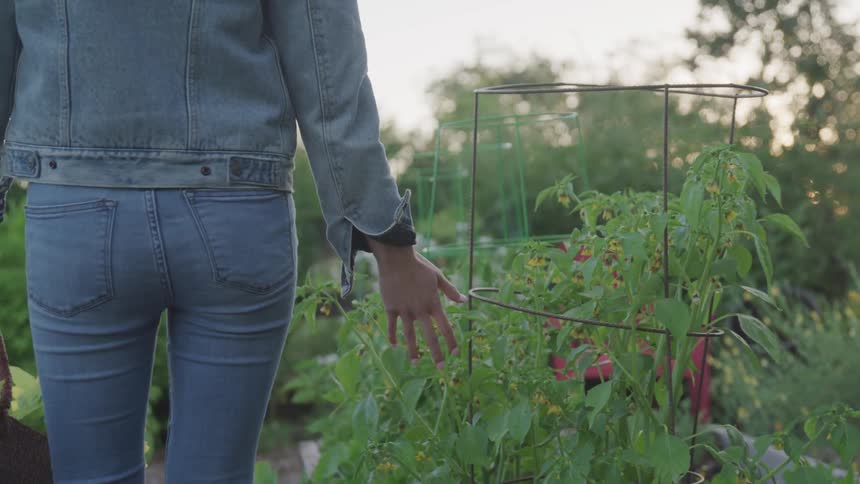 A woman touches plants as she walks through a garden