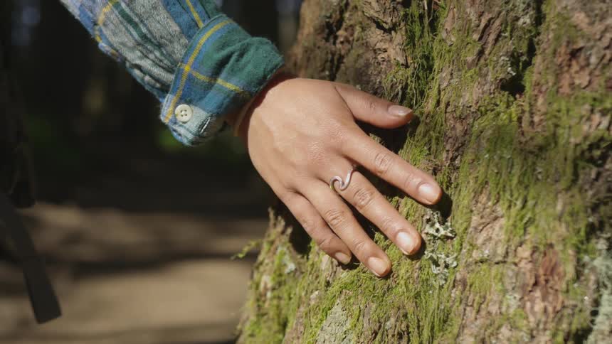 A female hiker touches a mossy tree trunk while walking by in a forest