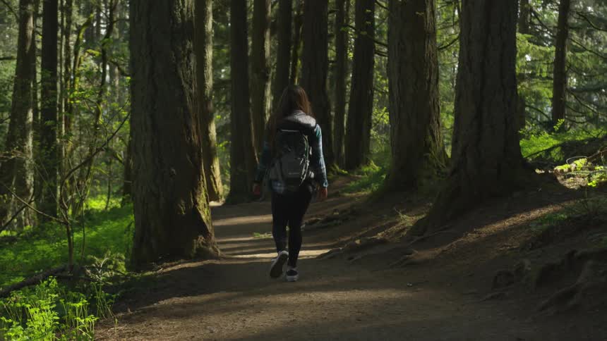 A woman is hiking along a dirt pathway in a forest during the day