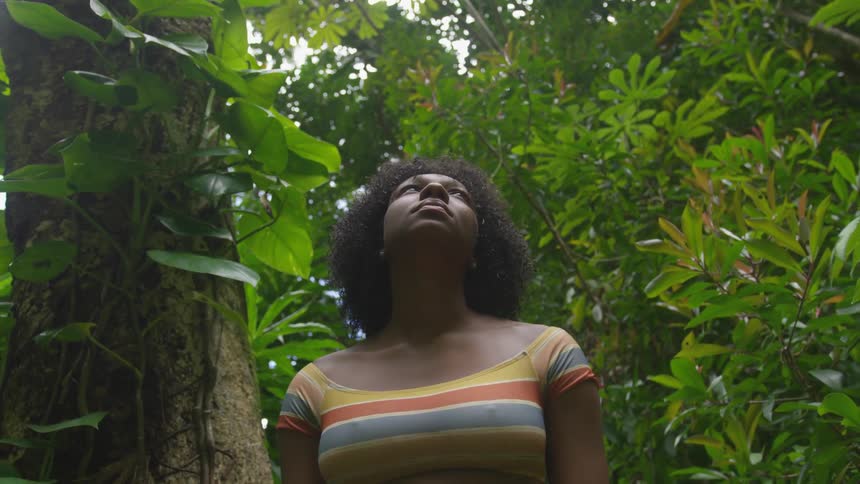A woman is standing in a rainforest