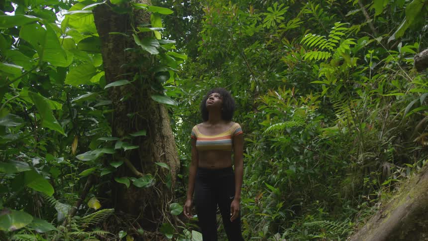 A woman is standing in a tropical area