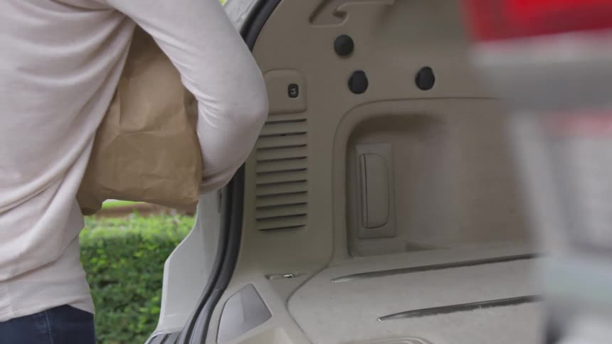 A woman with a purse taking a brown paper bag from the back of a vehicle