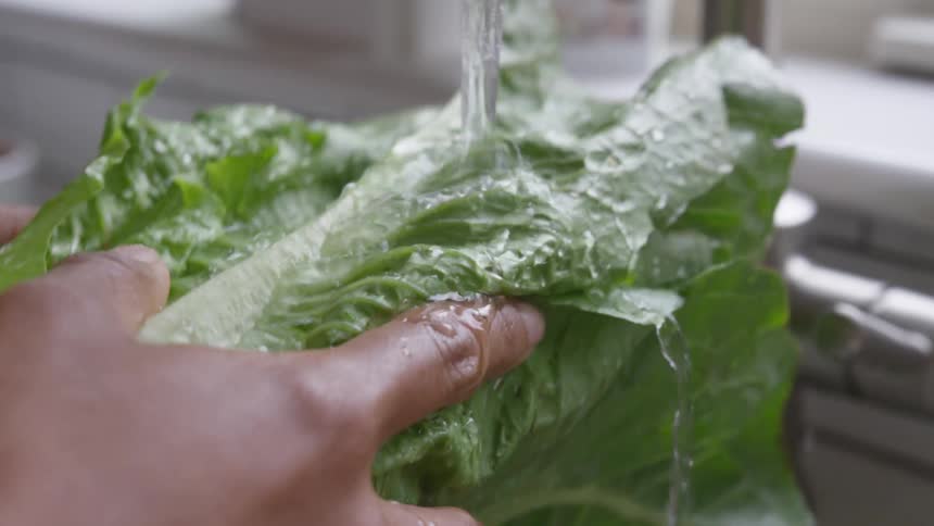 Womans hands wash romaine lettuce under the tap in the kitchen
