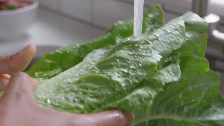 Washing lettuce under faucet in kitchen sink